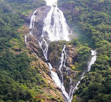 Dudhsagar waterfall one day trip from Goa