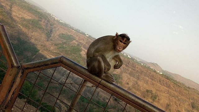 Khandala One day Trip From Mumbai monkey point khandala