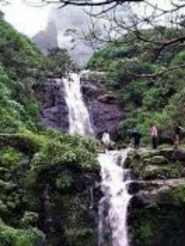 Malshej ghat private cab tour for you with experienced driver.