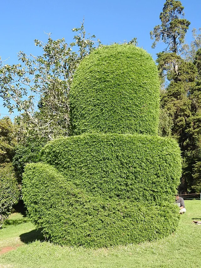 Botanical Garden, covered in Ooty local sightseeing tour package