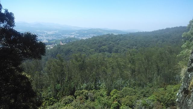 Doddabetta Peak Visit during One day Coimbatore to Ooty tour by cab