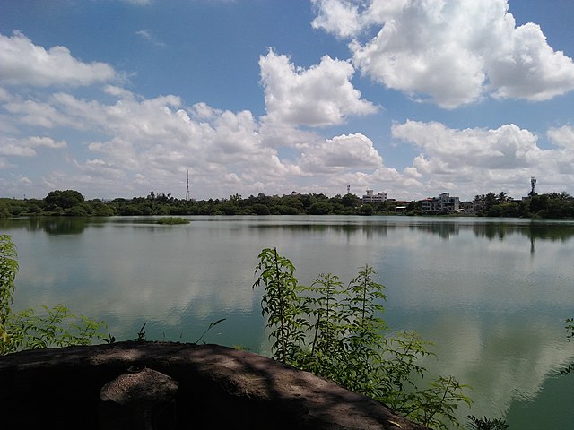 Salim Ali lake
