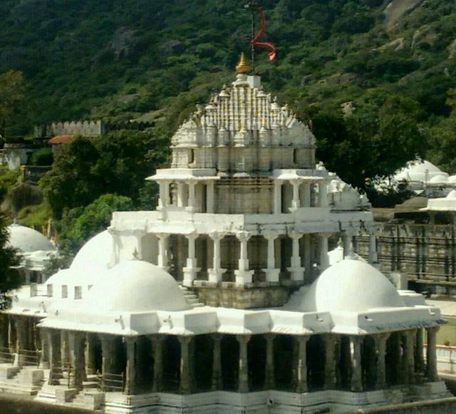 Mount Abu Local Sightseeing Tour by Cab covered in Dilwara Temples