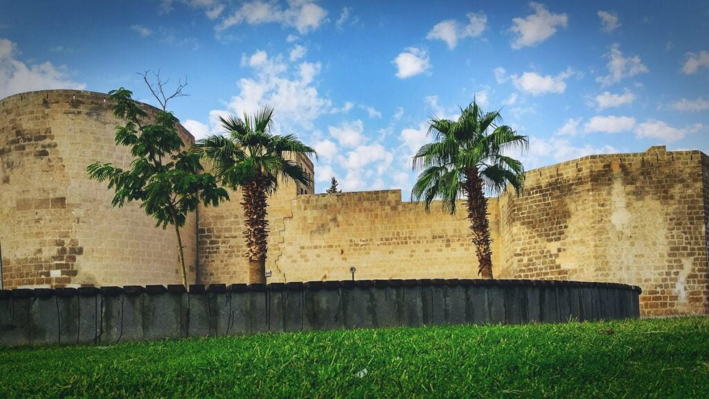 palm trees next to fort
