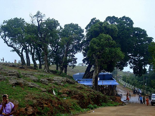 Servarayan Temple, 