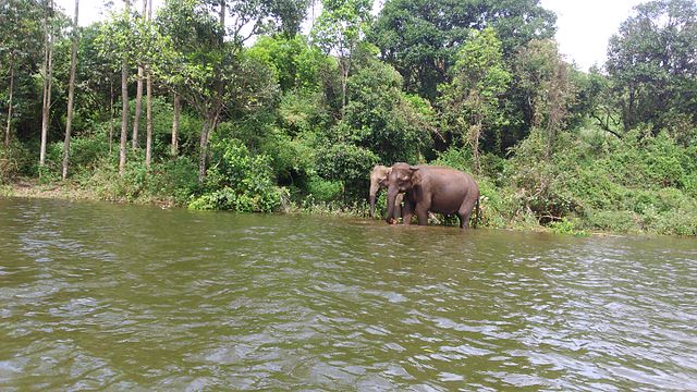 Elephant Lake, Visit during One day Coimbatore to Munnar tour by cab. 