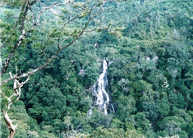 Kiliyur Falls, Yercuad Local Sightseeing