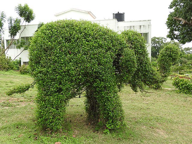 The Botanical Garden