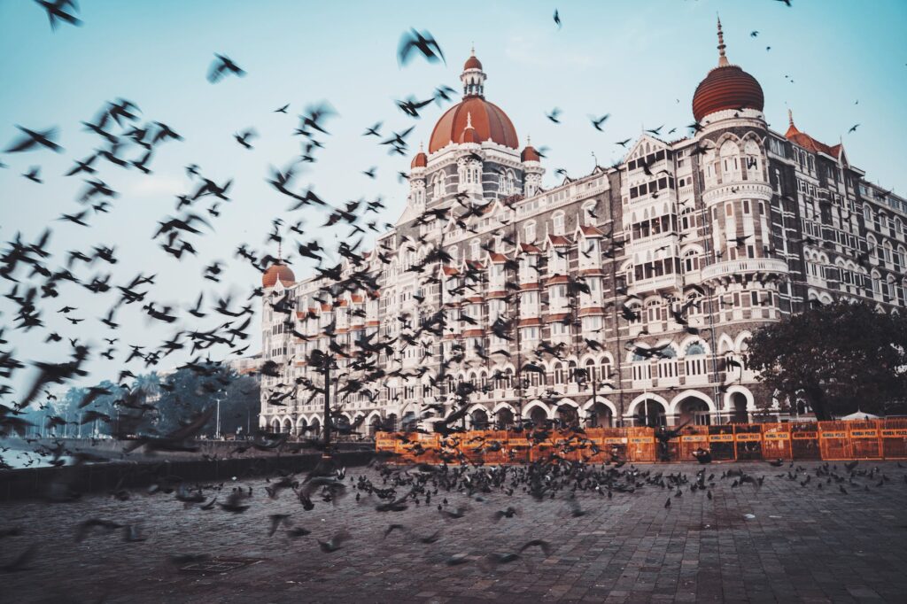 flock of birds flying near the taj mahal palace in mumbai