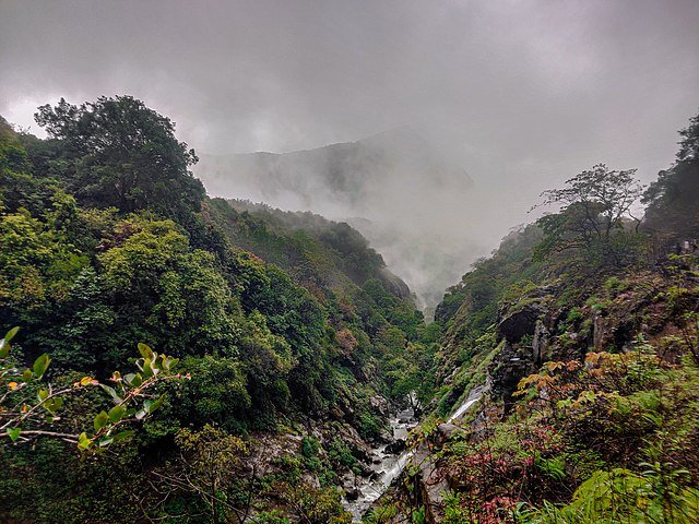 Andharban vsiit during Pune to Tamhini Ghat One day trip By cab
