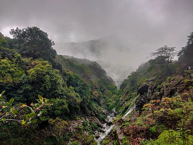 Pune to Tamhini Ghat One Day Trip - image 1