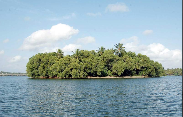 Ponnumthuruthu Island