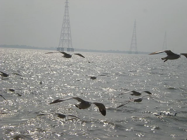 Sagar Lighthouse