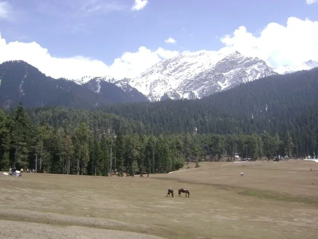 Baisaran Pahalgam