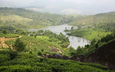 Pandikuzhi