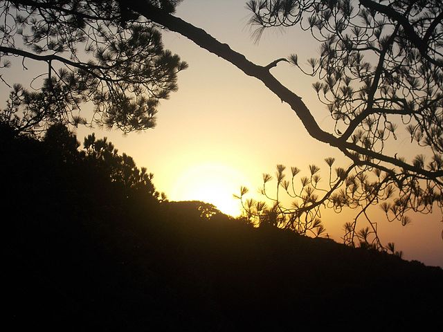 Sunset Point Kasauli, Visit during one day Kasauli local sightseeing trip by cab